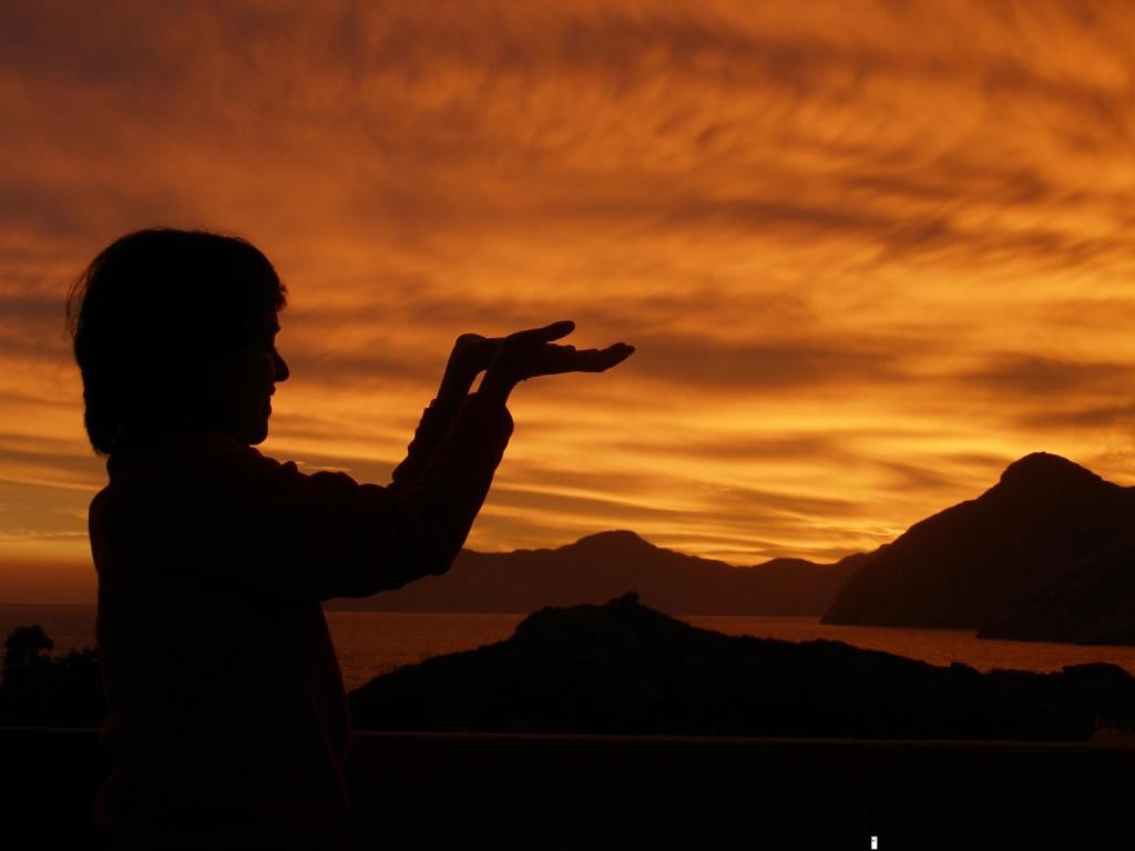 Profundicas en aspectos técnicos desde lo vivencial